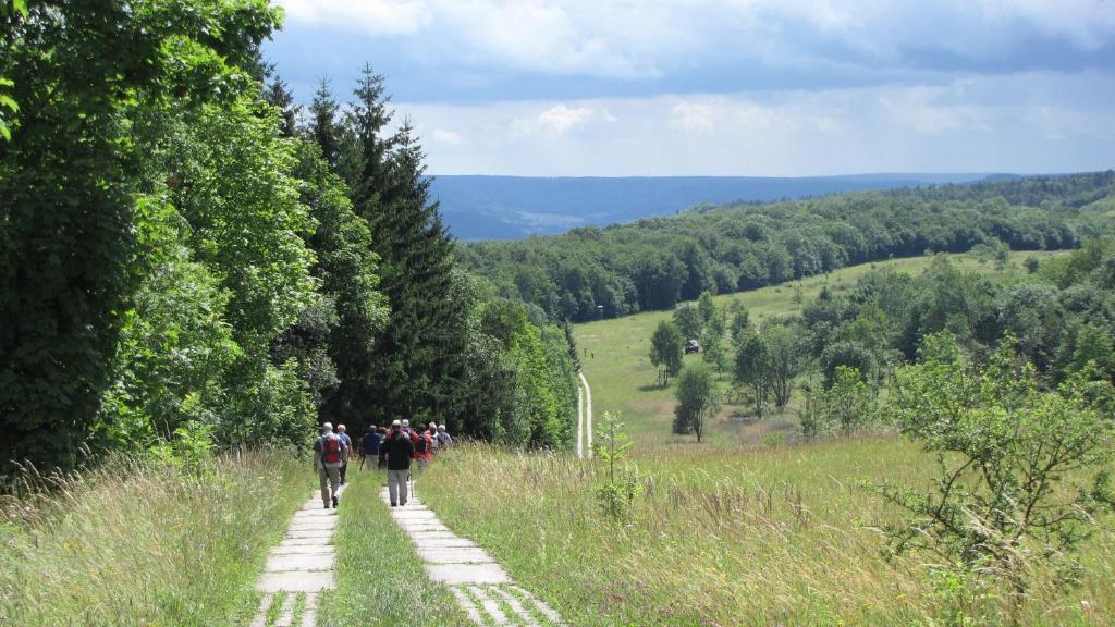 Landhaus Am Westerwald 马丁菲尔德 外观 照片